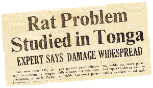 Rat problem studied